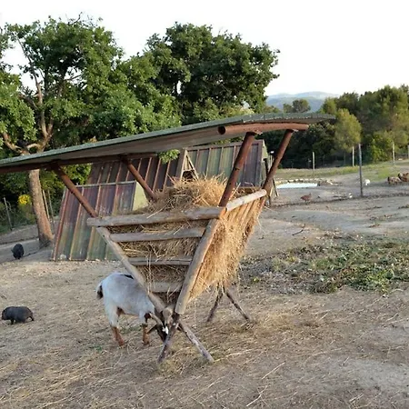 Il Ginepro